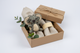 Koala / Napkin rings set x 2