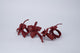 Orchids burgundy. Iraca straw.