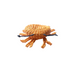 Handwoven Sea Creatures Brooches, Charms and Keyrings - Iraca Palm | Handwoven in Colombia - Casa Bonita
