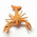 Handwoven Sea Creatures Brooches, Charms and Keyrings - Iraca Palm | Handwoven in Colombia - Casa Bonita
