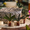The Alfresco Edit