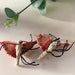 Handwoven Insect Charms | Iraca Palm, Colombia - Casa Bonita